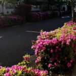 2021年5月