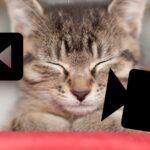 完全無料で動画管理USBを作る