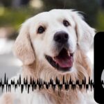 完全無料で音楽管理USBを作るPC