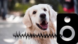 完全無料で音楽管理USBを作るPC