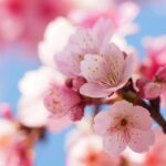 2022年3月の出来事